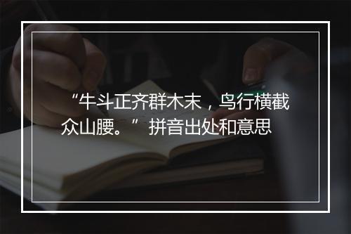 “牛斗正齐群木末，鸟行横截众山腰。”拼音出处和意思