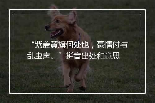 “紫盖黄旗何处也，豪情付与乱虫声。”拼音出处和意思