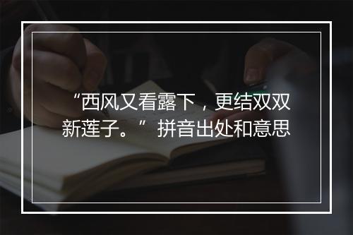 “西风又看露下，更结双双新莲子。”拼音出处和意思