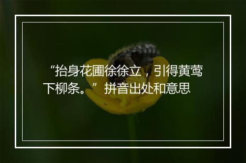 “抬身花圃徐徐立，引得黄莺下柳条。”拼音出处和意思