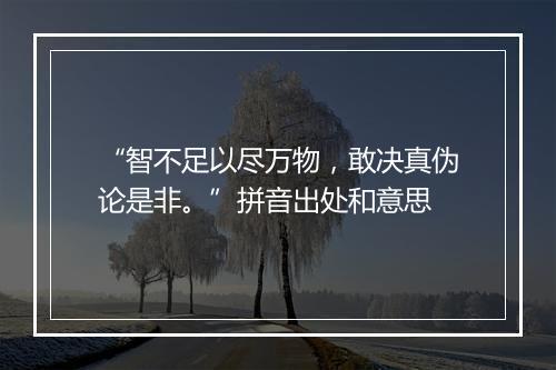 “智不足以尽万物，敢决真伪论是非。”拼音出处和意思