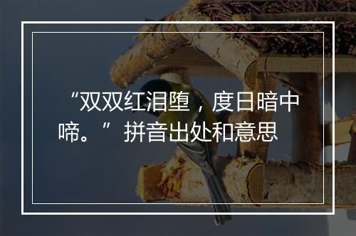 “双双红泪堕，度日暗中啼。”拼音出处和意思