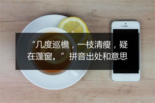 “几度巡檐，一枝清瘦，疑在蓬窗。”拼音出处和意思