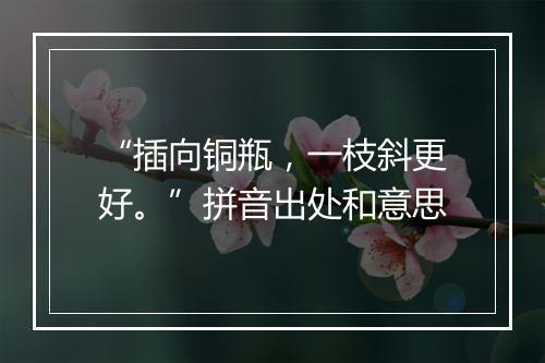 “插向铜瓶，一枝斜更好。”拼音出处和意思