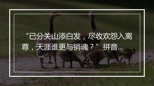 “已分关山添白发，尽收欢怨入离尊，天涯谁更与销魂？”拼音出处和意思