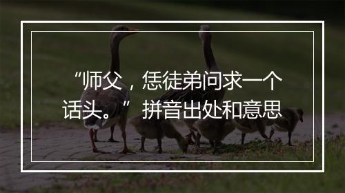 “师父，恁徒弟问求一个话头。”拼音出处和意思