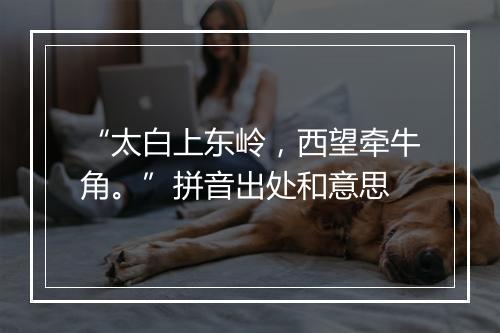 “太白上东岭，西望牵牛角。”拼音出处和意思