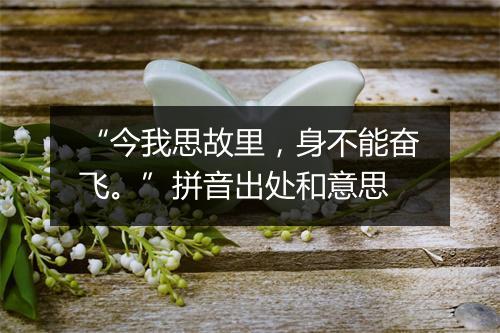 “今我思故里，身不能奋飞。”拼音出处和意思