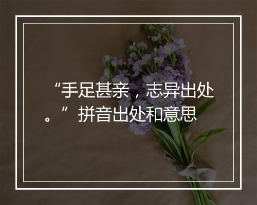 “手足甚亲，志异出处。”拼音出处和意思