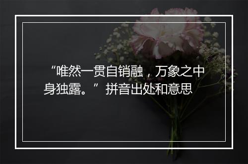 “唯然一贯自销融，万象之中身独露。”拼音出处和意思