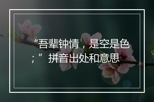 “吾辈钟情，是空是色；”拼音出处和意思