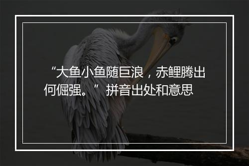 “大鱼小鱼随巨浪，赤鲤腾出何倔强。”拼音出处和意思