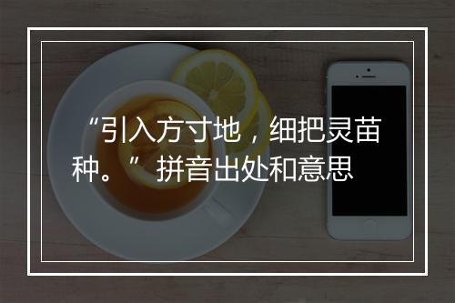 “引入方寸地，细把灵苗种。”拼音出处和意思