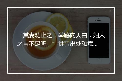 “其妻劝止之，举觞向天白，妇人之言不足听。”拼音出处和意思