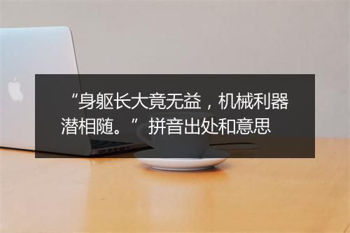 “身躯长大竟无益，机械利器潜相随。”拼音出处和意思