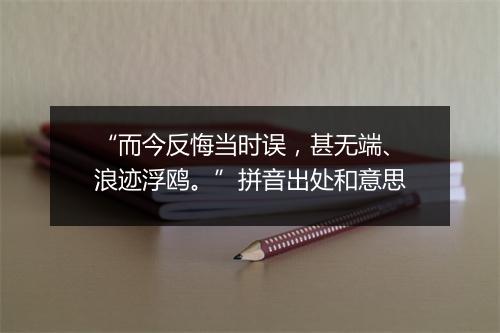 “而今反悔当时误，甚无端、浪迹浮鸥。”拼音出处和意思