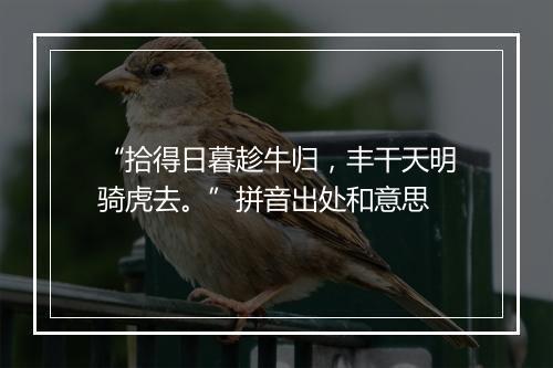 “拾得日暮趁牛归，丰干天明骑虎去。”拼音出处和意思