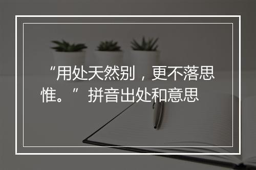 “用处天然别，更不落思惟。”拼音出处和意思