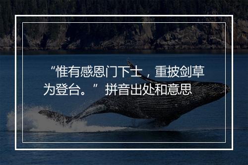 “惟有感恩门下士，重披剑草为登台。”拼音出处和意思