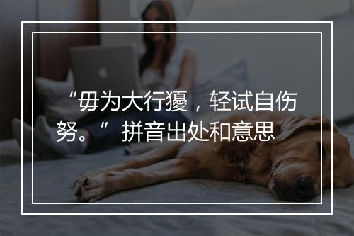 “毋为大行獶，轻试自伤努。”拼音出处和意思