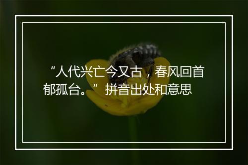 “人代兴亡今又古，春风回首郁孤台。”拼音出处和意思