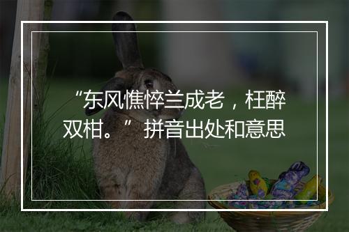 “东风憔悴兰成老，枉醉双柑。”拼音出处和意思