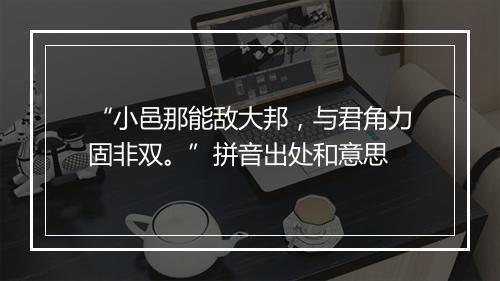 “小邑那能敌大邦，与君角力固非双。”拼音出处和意思