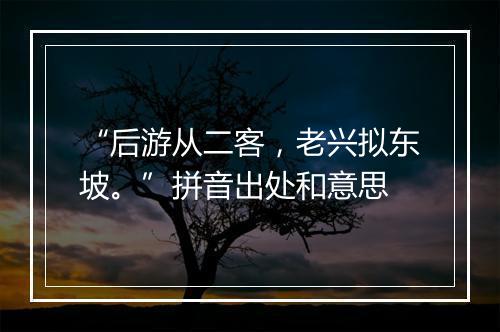 “后游从二客，老兴拟东坡。”拼音出处和意思