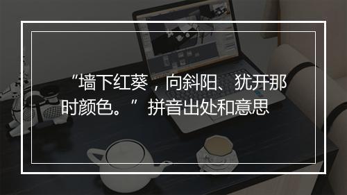 “墙下红葵，向斜阳、犹开那时颜色。”拼音出处和意思