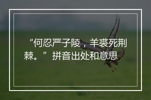 “何忍严子陵，羊裘死荆棘。”拼音出处和意思