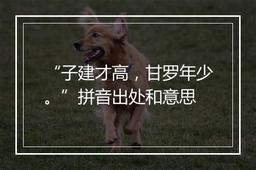 “子建才高，甘罗年少。”拼音出处和意思