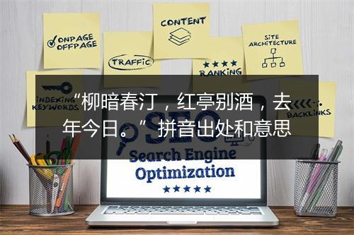 “柳暗春汀，红亭别酒，去年今日。”拼音出处和意思