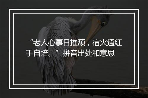 “老人心事日摧颓，宿火通红手自培。”拼音出处和意思