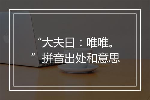 “大夫曰：唯唯。”拼音出处和意思