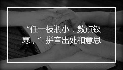 “任一枝瓶小，数点钗寒，”拼音出处和意思