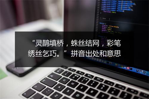 “灵鹊填桥，蛛丝结网，彩笔绣丝乞巧。”拼音出处和意思