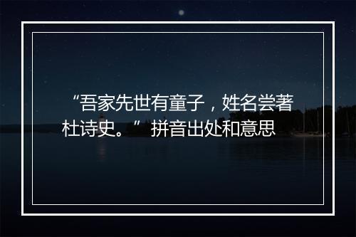 “吾家先世有童子，姓名尝著杜诗史。”拼音出处和意思