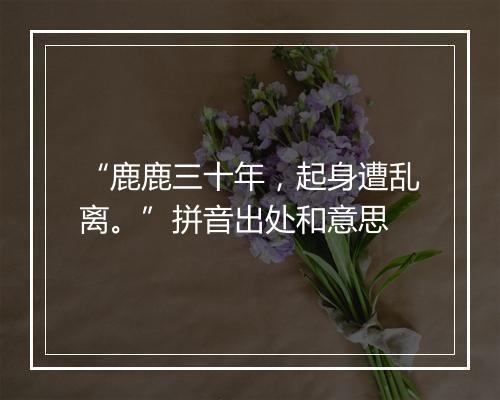 “鹿鹿三十年，起身遭乱离。”拼音出处和意思