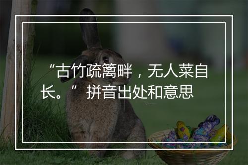 “古竹疏篱畔，无人菜自长。”拼音出处和意思