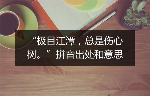 “极目江潭，总是伤心树。”拼音出处和意思