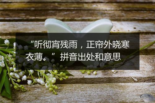 “听彻宵残雨，正帘外晓寒衣薄。”拼音出处和意思