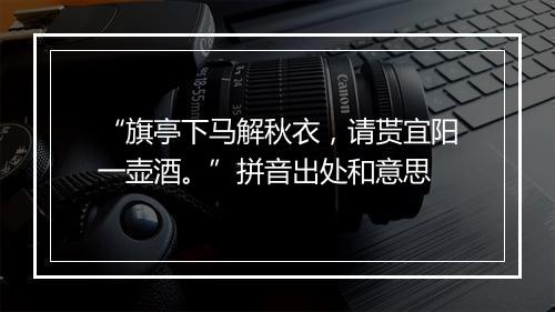 “旗亭下马解秋衣，请贳宜阳一壶酒。”拼音出处和意思