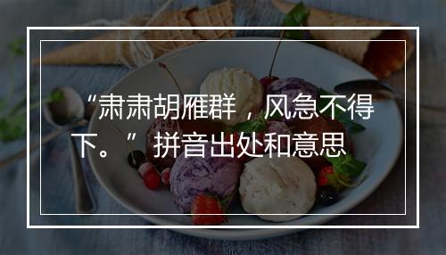 “肃肃胡雁群，风急不得下。”拼音出处和意思