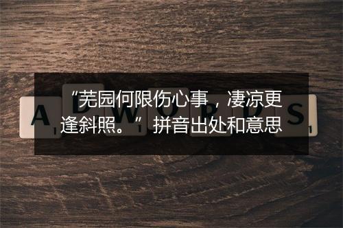 “芜园何限伤心事，凄凉更逢斜照。”拼音出处和意思