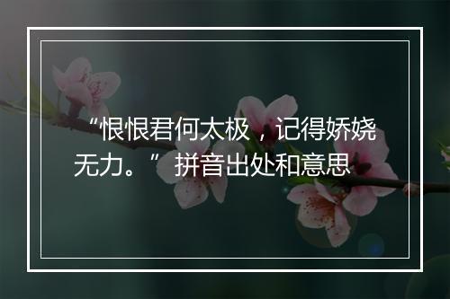 “恨恨君何太极，记得娇娆无力。”拼音出处和意思