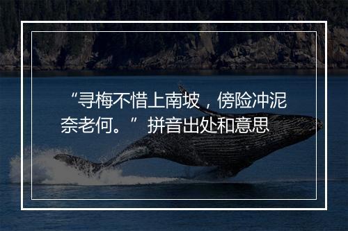 “寻梅不惜上南坡，傍险冲泥奈老何。”拼音出处和意思