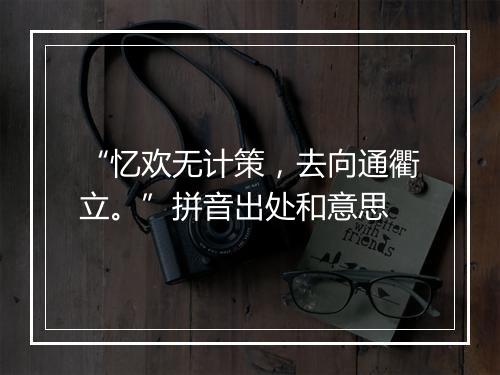 “忆欢无计策，去向通衢立。”拼音出处和意思