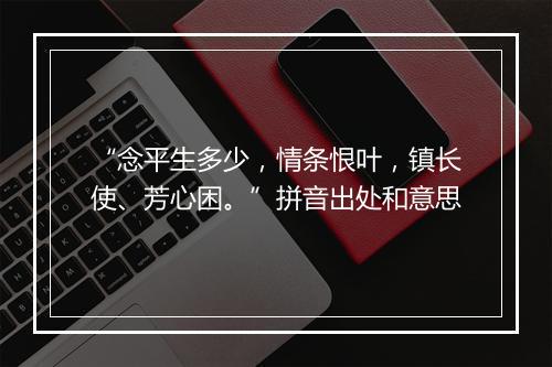 “念平生多少，情条恨叶，镇长使、芳心困。”拼音出处和意思