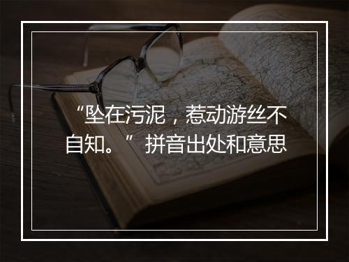 “坠在污泥，惹动游丝不自知。”拼音出处和意思