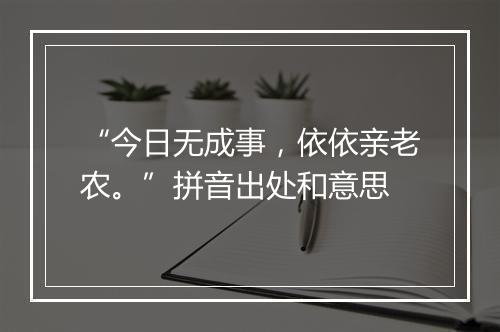 “今日无成事，依依亲老农。”拼音出处和意思